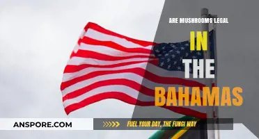 Are Mushrooms Legal in the Bahamas? Exploring Psilocybin Laws and Regulations