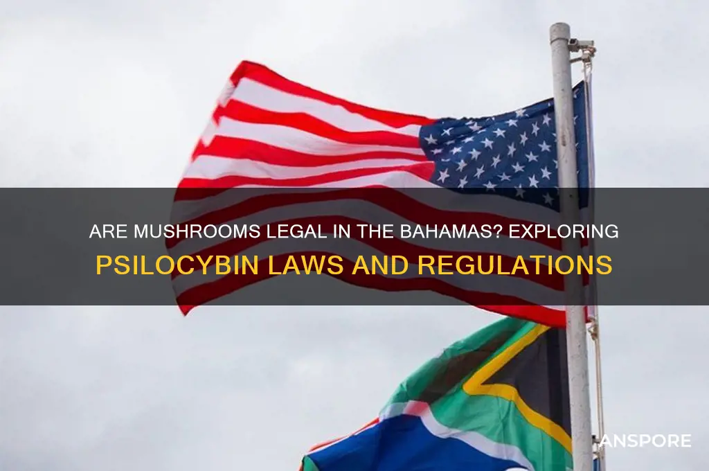 are mushrooms legal in the bahamas