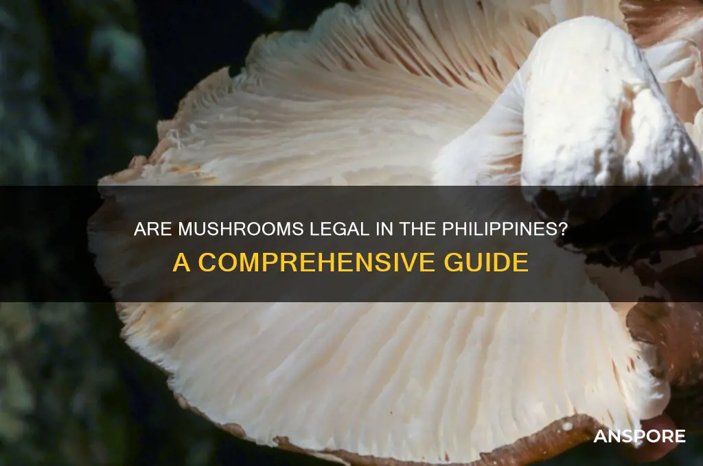 are mushrooms legal in the philippines