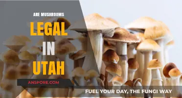 Are Mushrooms Legal in Utah? Understanding Psilocybin Laws and Regulations