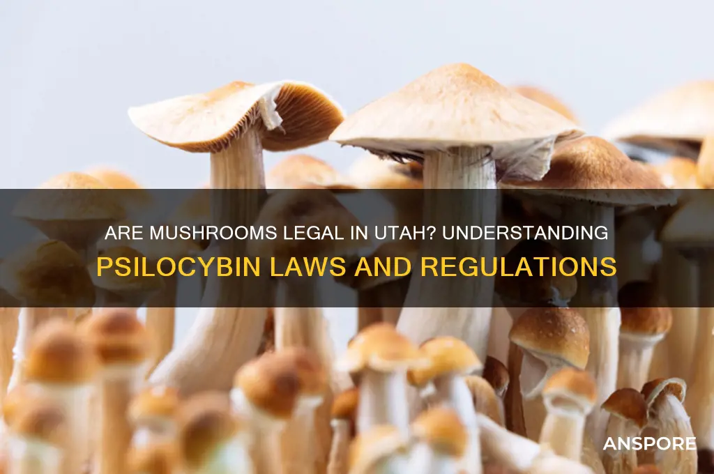 are mushrooms legal in utah