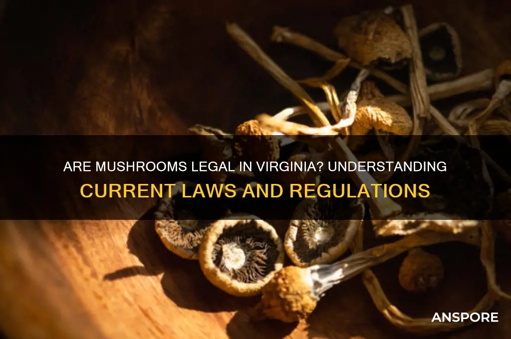 are mushrooms legal in va