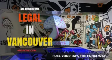 Are Mushrooms Legal in Vancouver? Exploring Psilocybin's Legal Status