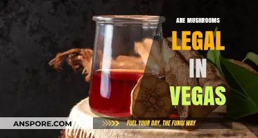 Are Mushrooms Legal in Vegas? Exploring Nevada's Psilocybin Laws