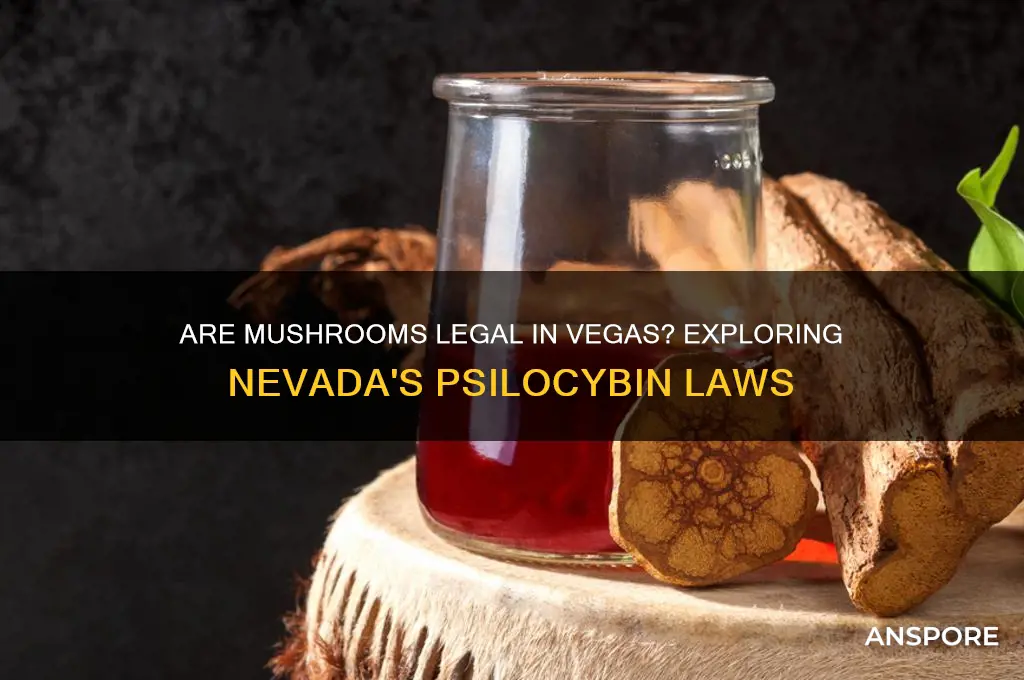 are mushrooms legal in vegas