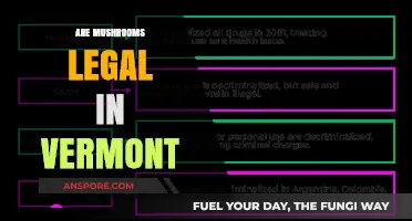 Are Mushrooms Legal in Vermont? Understanding Psilocybin Laws and Regulations