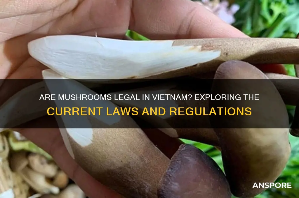 are mushrooms legal in viet nam