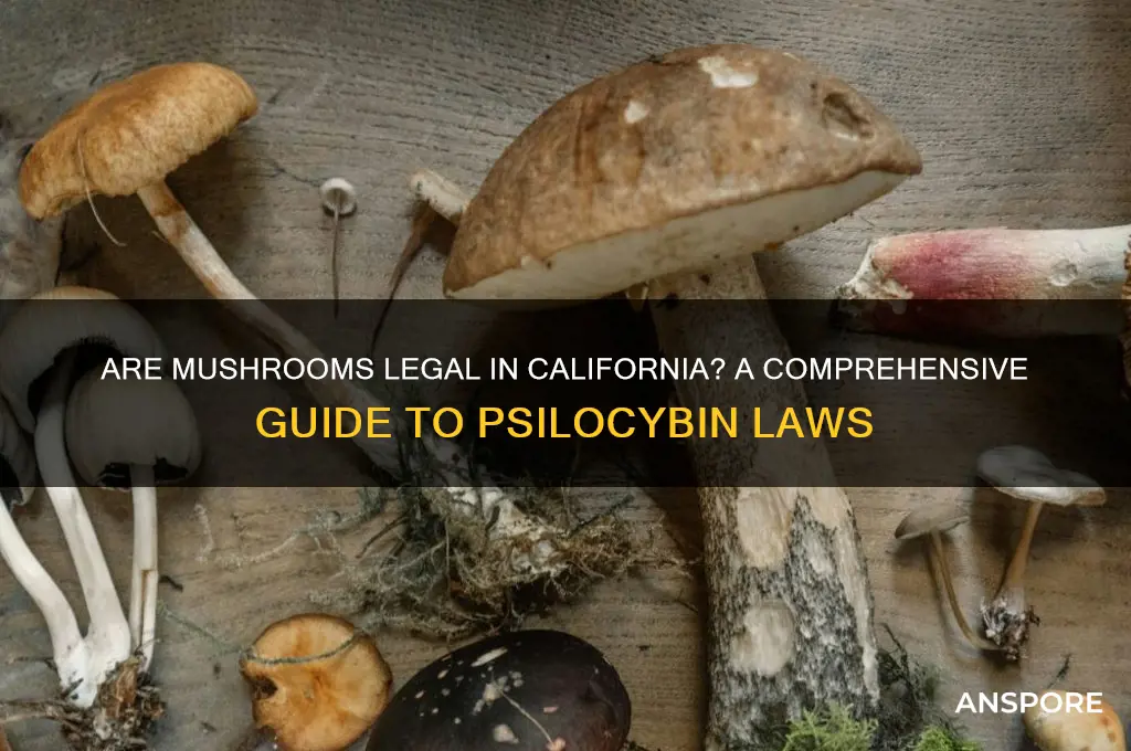 are mushrooms legal to buy in california