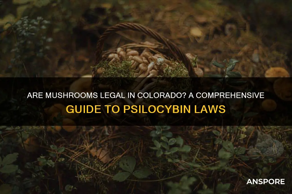 are mushrooms legal to buy in colorado