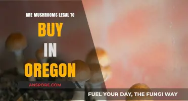 Are Mushrooms Legal in Oregon? A Comprehensive Guide to Psilocybin Laws