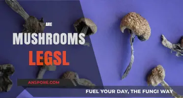 Mushroom Legality: What's the Deal?