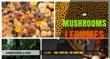 Mushrooms: Legumes or Not?