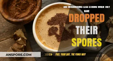 Mushrooms After Spore Drop: Do They Lose Their Power?