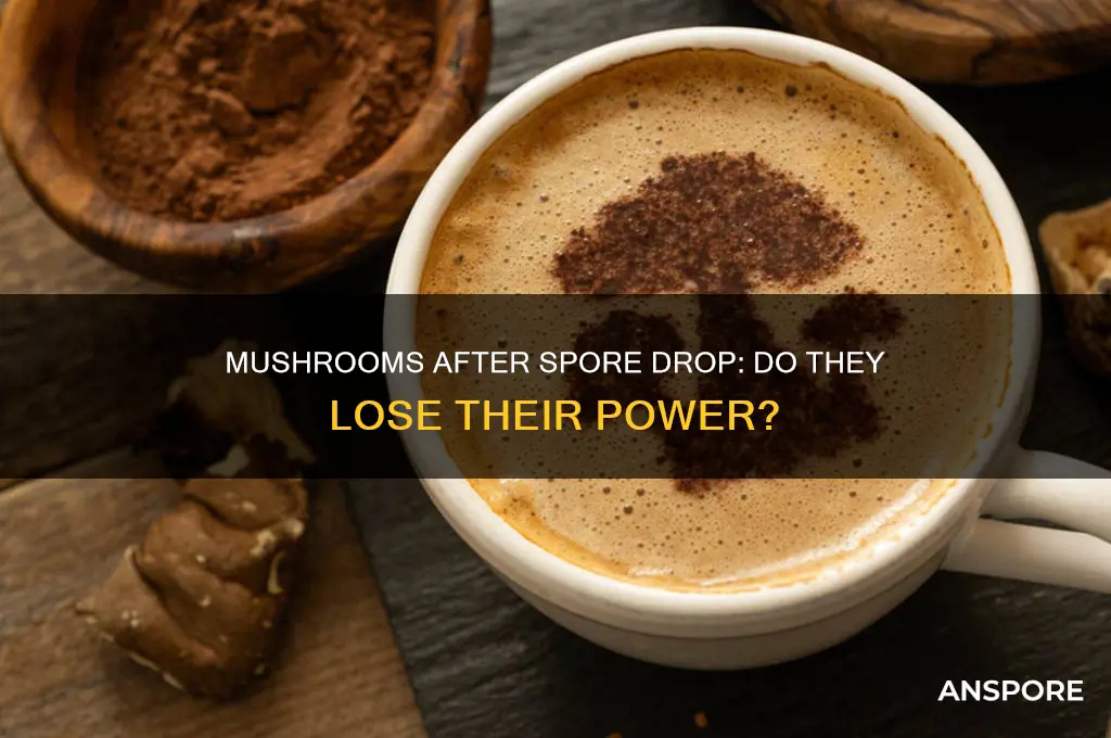 are mushrooms less strong when they have dropped their spores