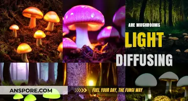 Mushrooms: Nature's Light Diffusers