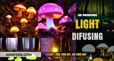 Mushrooms: Nature's Light Diffusers
