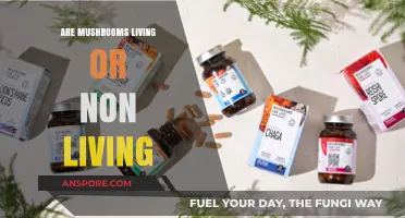 Mushrooms: Living or Non-Living?