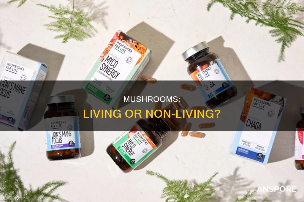 are mushrooms living or non living