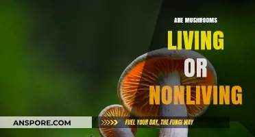Mushrooms: Living or Nonliving?