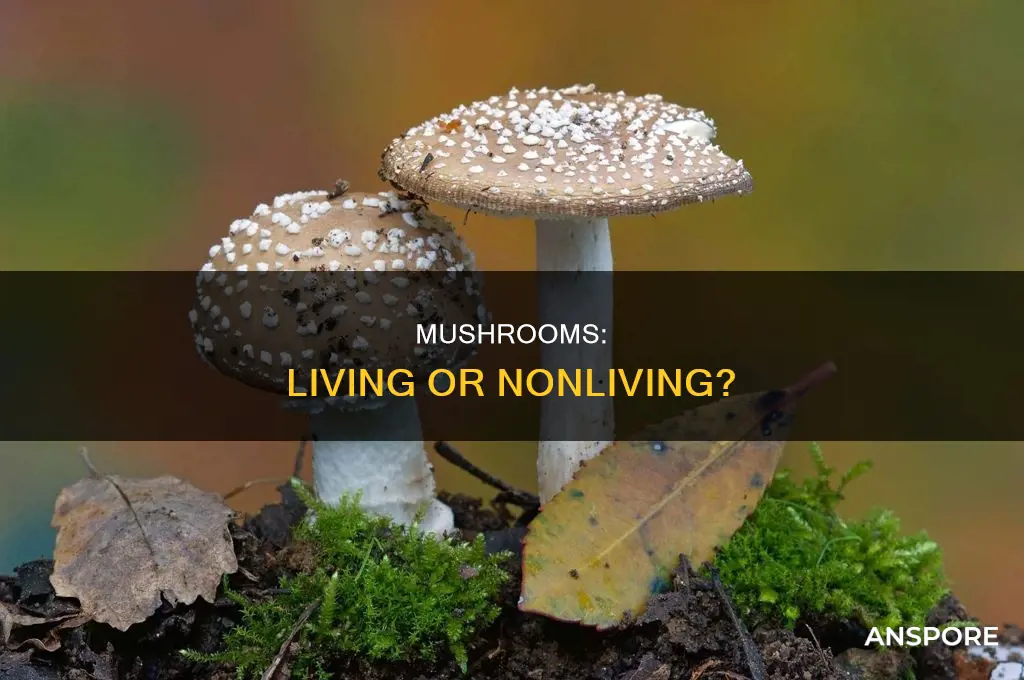 are mushrooms living or nonliving