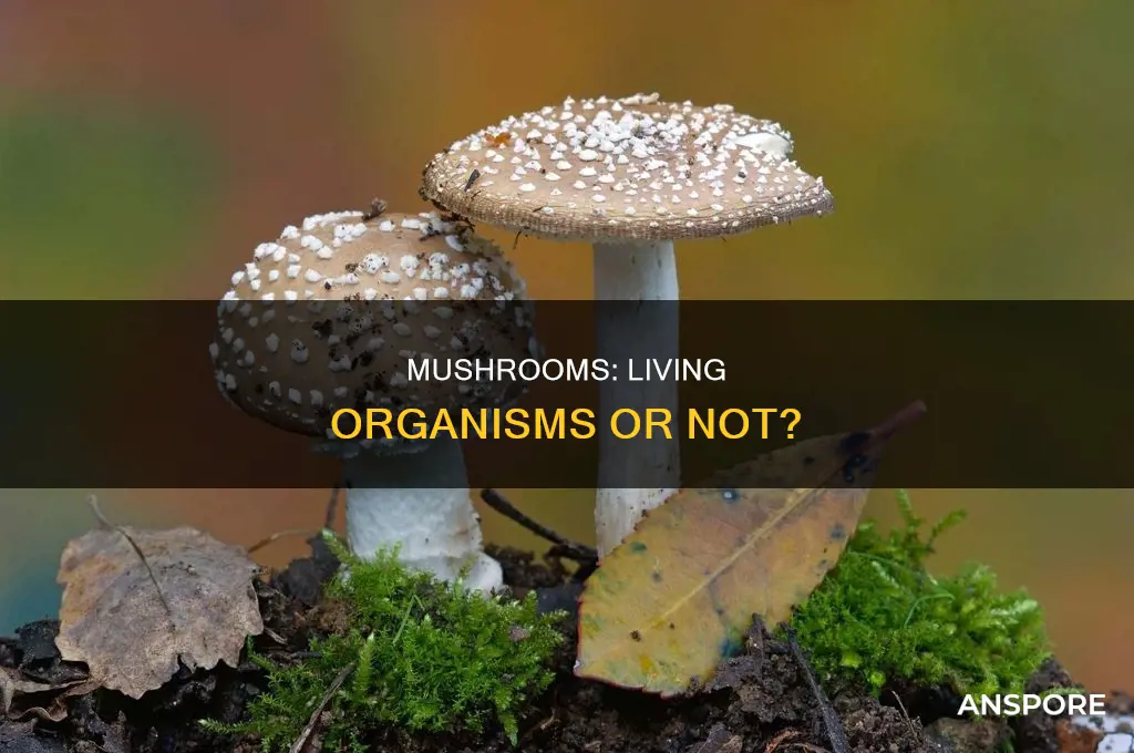 are mushrooms living organisms
