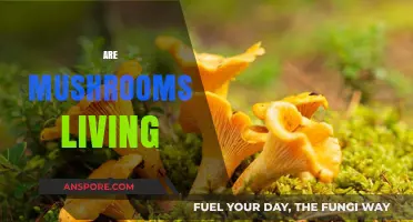 Mushrooms: Living or Not?
