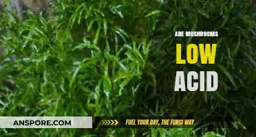 Mushrooms: Low Acid Superfood?