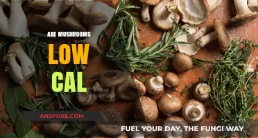 Mushrooms: Low-Calorie Superfood?