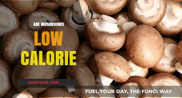 Mushrooms: Low-Calorie Superfood?