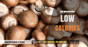 Mushrooms: Healthy, Low-Calorie Superfood?