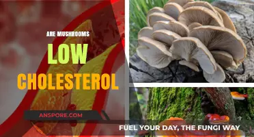 Mushrooms: Healthy, Low-Cholesterol Superfood?