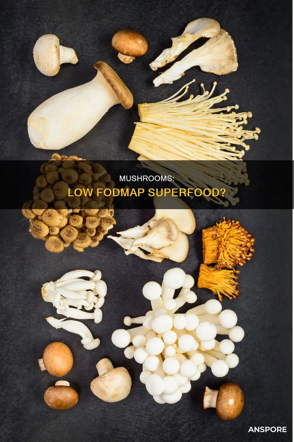 are mushrooms low fod map