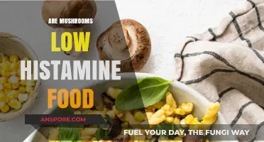 Mushrooms: Low Histamine Superfood?