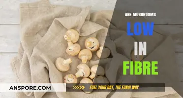 Mushrooms: A Fibre-Rich Superfood?