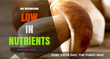 Mushrooms: Nutritional Powerhouses or Empty Calories?