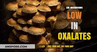 Mushrooms: Low Oxalate Superfood?
