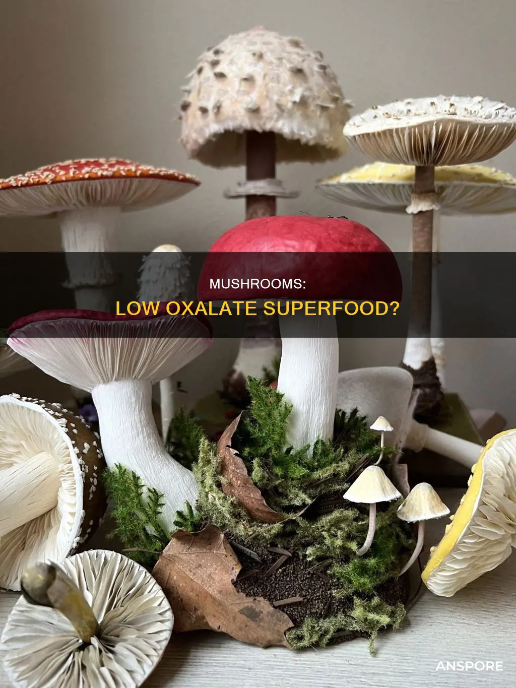are mushrooms low in oxalates