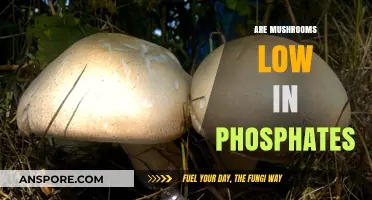 Mushrooms: Low Phosphate Superfood?