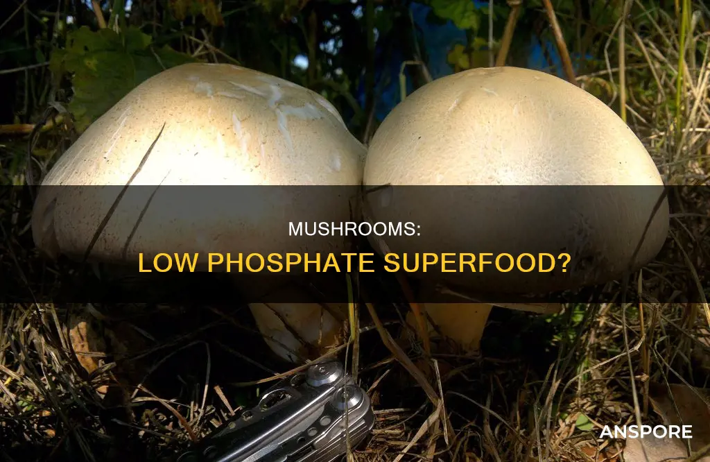 are mushrooms low in phosphates