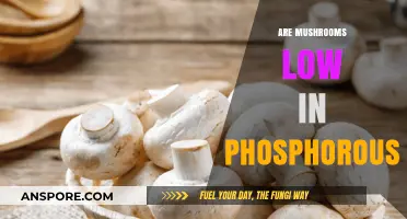 Mushrooms: Low Phosphorous Superfood?