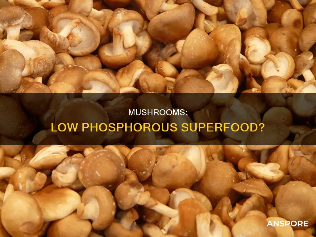 are mushrooms low in phosphorous
