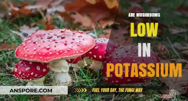 Mushrooms: Low-Potassium Superfood?