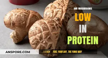 Mushrooms: A Low-Protein Superfood?
