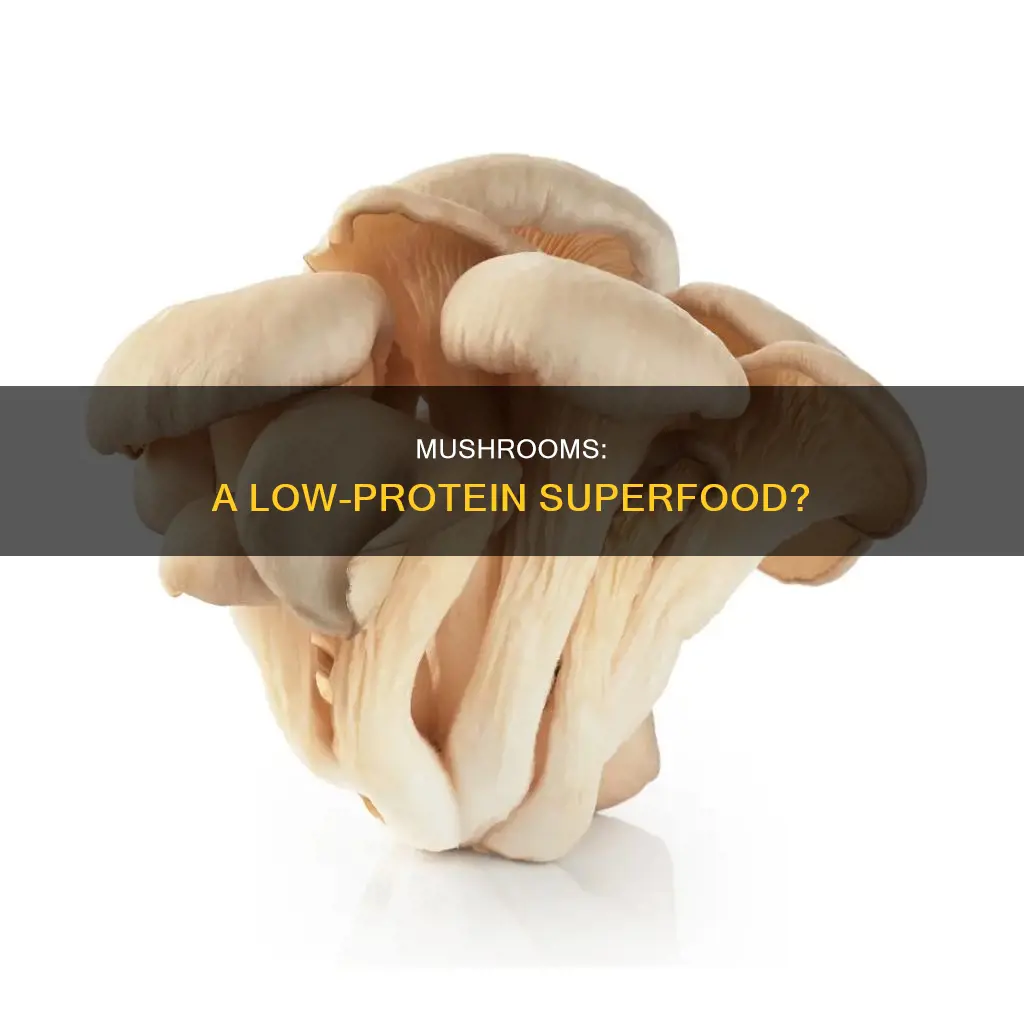 are mushrooms low in protein
