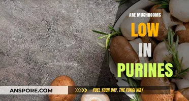 Mushrooms and Purines: A Healthy Combination?