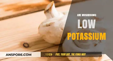 Mushrooms: Low Potassium Superfood?