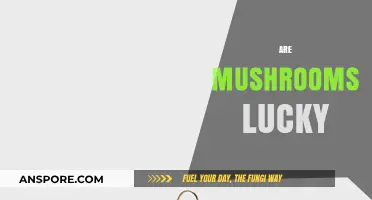 Mushroom Magic: Are They Fortuitous Fungi?