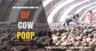 Mushroom Mystery: Are Cows the Creators?