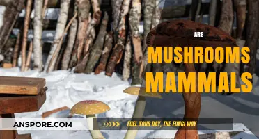 Mushrooms: Mammals or Not?