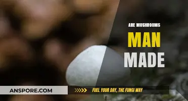 The Mystery of Mushrooms: Man-Made or Natural?